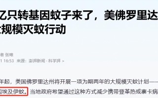 近期出现的病毒叫什么蚊子名字呢英文(近期出现的病毒叫什么蚊子名字呢英文翻译)