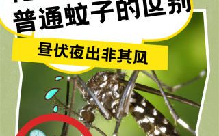 近期出现的病毒叫什么蚊子呢视频播放的简单介绍