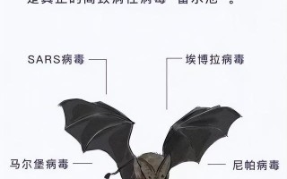  中国非典疫情发生在哪一年的疫情呢(中国非典疫情发生在哪一年的疫情呢知乎)