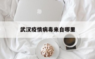  武汉疫情病毒来自哪里(武汉的疫情到底来自哪里)