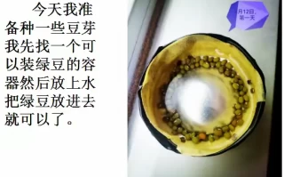  疫情是什么什么造句子二年级下册(疫情是什么什么造句子二年级下册语文)