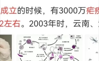  中国疫情什么时候开始发生的(中国的疫情是什么时候开始)