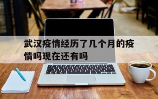 关于武汉疫情经历了几个月的疫情吗现在还有吗的信息