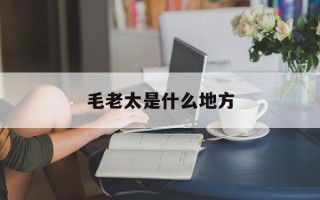  毛老太是什么地方(多毛老太太图片)