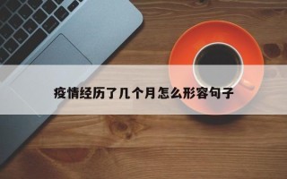 疫情经历了几个月怎么形容句子