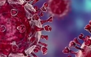  疫情的来源到底是什么病毒呢英语(疫情的来源到底是什么病毒呢英语翻译)