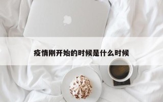 疫情刚开始的时候是什么时候