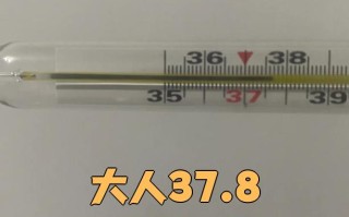 什么病会引起发低烧