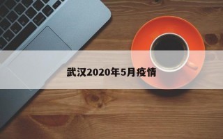 武汉2020年5月疫情
