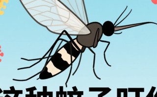  蚊子传播致命病毒吗(蚊子不咬的五种人)