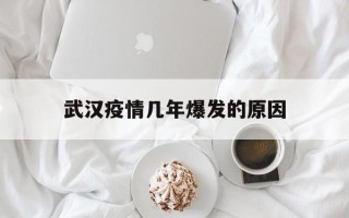  武汉疫情几年爆发的原因(武汉疫情几年爆发的原因分析)