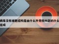 病毒没有细胞结构是由什么外壳和内部的什么组成