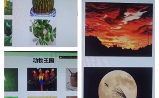 疫情属于自然现象还是社会现象(哪些属于自然现象)