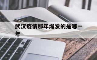  武汉疫情那年爆发的是哪一年(武汉疫情爆发是哪一年几月几日)
