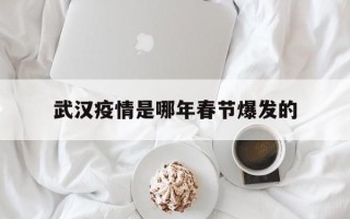  武汉疫情是哪年春节爆发的(武汉疫情爆发于哪一年)