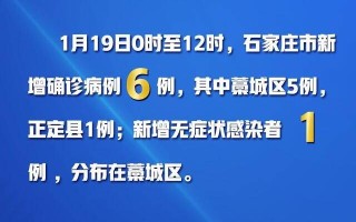  石家庄市疫情从什么时候开始(石家庄疫情从什么时间开始)