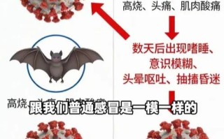  疫情病毒是什么类型的病毒(疫情病毒叫什么来着)