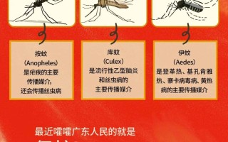  广东的病毒蚊子是从哪里来的(广东的蚊子是什么品种)