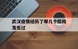  武汉疫情经历了哪几个阶段发生过(武汉疫情经历了哪几个阶段发生过战争)