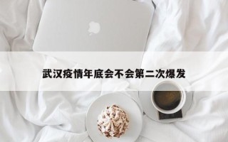 武汉疫情年底会不会第二次爆发