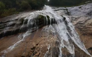  疫情有什么山(抗击疫情的著名医生)