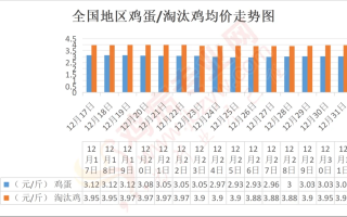  河北鸡蛋价格最新行情(河北省鸡蛋价格走势)