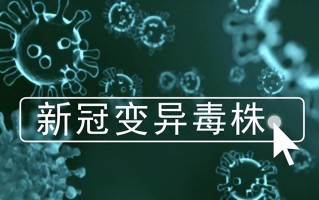  新冠疫情是哪一年出现的病毒毒株(新冠肺炎疫情是哪一年发生的)