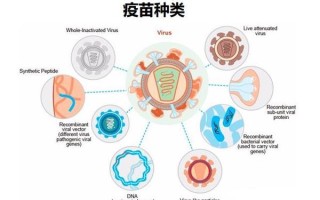  新冠疫苗是哪个研发出来的(新冠疫苗是哪个公司研制生产的)