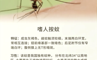  最近蚊子传染什么疾病(最近蚊子多)