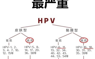  中国有多少女性感染hpv高危病毒的人群(中国有多少女性感染hpv高危病毒的人群呢)