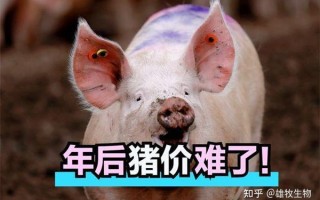  2021疫情会二次爆发吗知乎小说(2021年8月疫情爆发在哪)