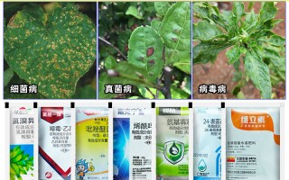  病毒病特效药杀菌剂(病毒杀虫剂有哪些)