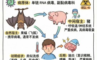  印度疫情是什么引起的(印度爆发了什么疫情)
