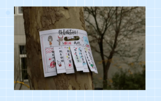 疫情结束后我们应该怎样(地震后我们应该做什么)
