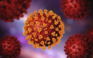  湖北疫情是哪一年开始的病毒呢图片(湖北疫情是哪一年开始的病毒呢图片大全)