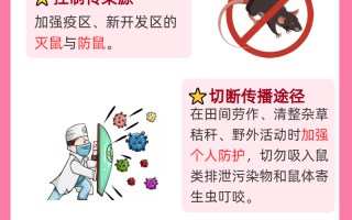  现在流行的疾病是什么(手足口病预防措施)