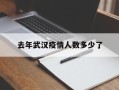  去年武汉疫情人数多少了(去年武汉疫情总共多少人)