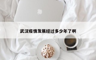 武汉疫情发展经过多少年了啊