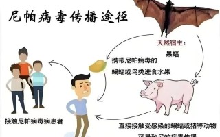  疫情病毒叫什么了(这次疫情病毒叫什么)