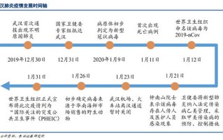  几年前的疫情叫什么名字(十几年前的疫情)