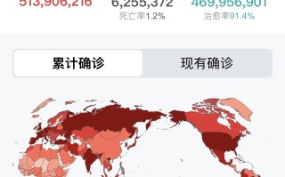  2020到2021疫情死了多少人(2020年中国疫情死亡多少人?)