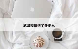 武汉疫情伤了多少人