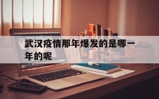  武汉疫情那年爆发的是哪一年的呢(武汉疫情是从哪年开始的)