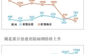  武汉疫情是哪年哪月哪日发生的事情呀(武汉大学的肖同学是什么事情)