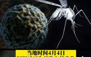  2013年疫情爆发的时间是多少天(2013年疫情爆发的时间是多少天呢)