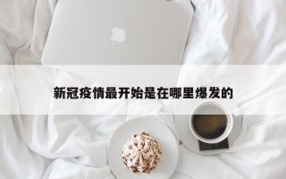 新冠疫情最开始是在哪里爆发的