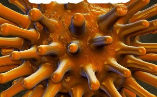  近年出现的病毒有哪些症状(感染hpv有什么症状)