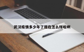 武汉疫情多少年了现在怎么样啦啊