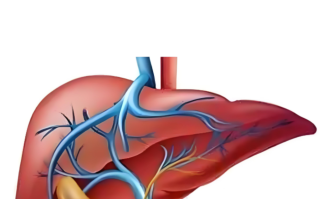  哪种病毒被根除了(哪种病毒被根除了会传染)