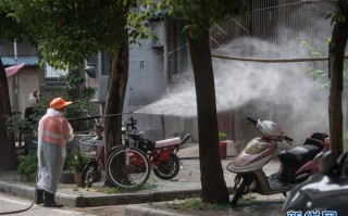 关于当年武汉疫情叫什么名字啊的信息